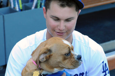 #NewYearsResolution: Animaux plus #BaseballDogs.  Faites glisser pour plus de bons doggos ....