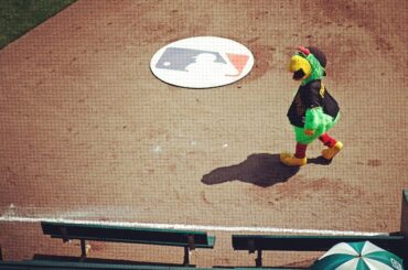 Pirate Parrot est sur le pont. #Entraînement de printemps...