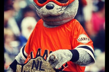 Lou Seal a du nouveau bling. #SFGiants ...