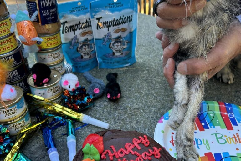 (Keith Hernandez) Le chat Hadji de Keith Hernandez célèbre aujourd'hui son 22e anniversaire